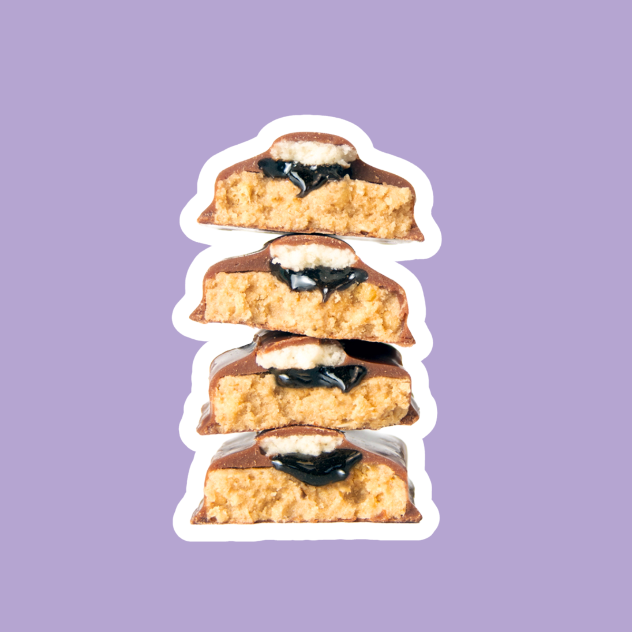 S'mores Protein Bars